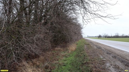 Перспективная ООПТ Спечакиевские рощи