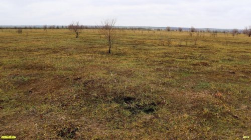 Перспективная ООПТ Западно-Канеловские луга