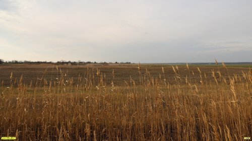 Перспективная ООПТ Северо-Канеловские луга