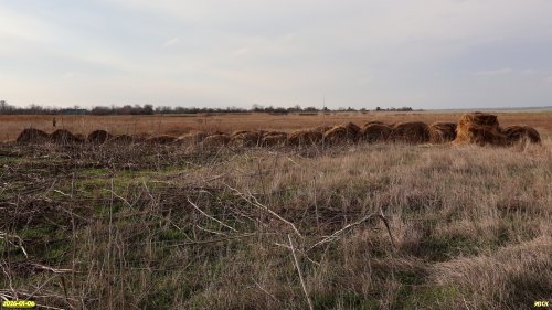 Перспективная ООПТ Северо-Канеловские луга