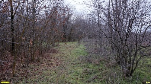 Перспективная ООПТ Восточно-Староминская роща 