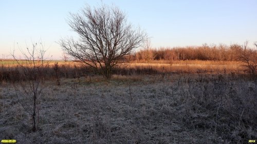 Перспективная ООПТ Хлопова балка