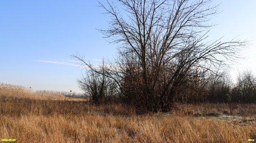 Перспективная ООПТ Сметанинская луговина