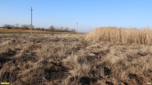 Перспективная ООПТ Заейская западина 