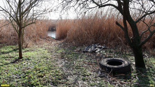 Перспективная ООПТ Староминская роща 