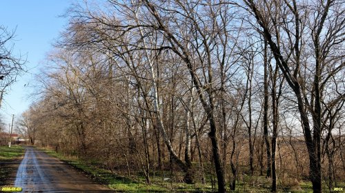 Перспективная ООПТ Староминская роща 