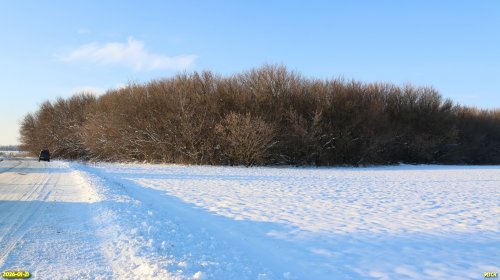 Перспективная ООПТ Заревский лес