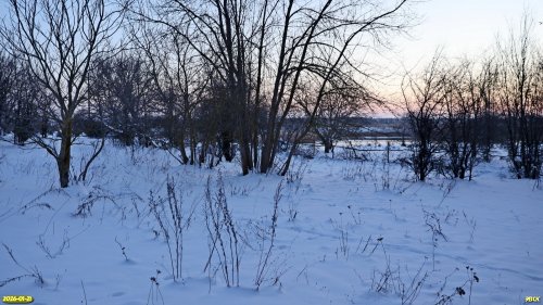 Перспективная ООПТ Заревский берег Бейсуга