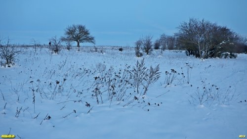 Перспективная ООПТ Заревский берег Бейсуга