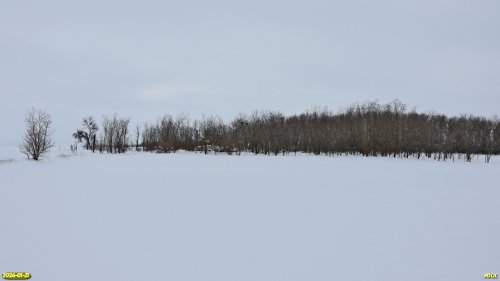 Перспективная ООПТ Западно-Ирклиевская роща