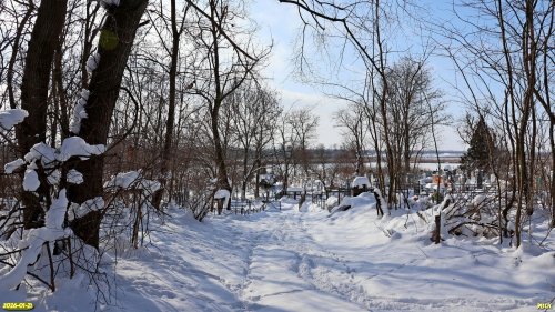 Перспективная ООПТ Западно-Зареченская роща