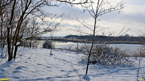 Перспективная ООПТ Западно-Зареченская роща на правом берегу реки Бейсужёк