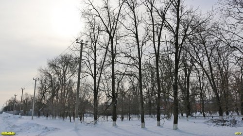 Перспективная ООПТ Сахарозаводская роща