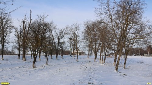 Перспективная ООПТ Бейсугская роща