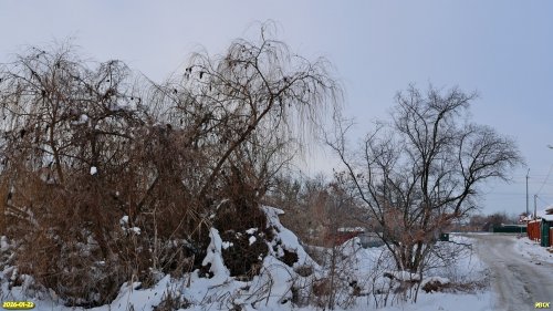 Перспективная ООПТ Сквер на улице Береговой