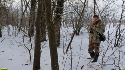 Д.Матвеев определяет виды растений в перспективной ООПТ Аллея в переулке Октябрьском