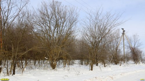 Перспективная ООПТ Ин-Малёваный лес