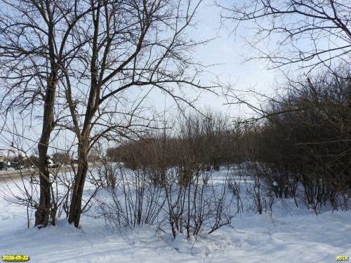 Окраина перспективной ООПТ Веселовыселковский лес