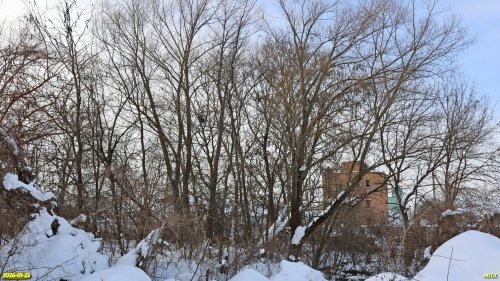 Перспективная ООПТ Сквер на улице Лермонтова