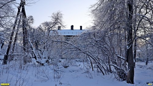 Перспективная ООПТ Роща на улице Станционной