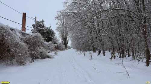 Перспективная ООПТ Новорождественский лес