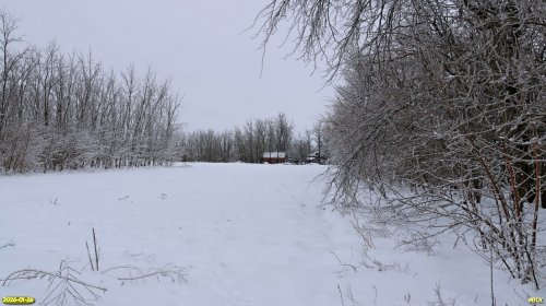 Перспективная ООПТ Северо-Новорождественская роща