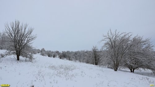 Новорождественские косогоры