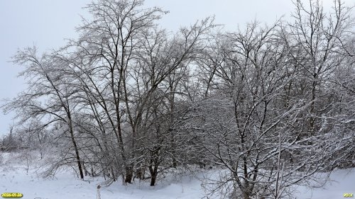 Перспективная ООПТ Лесопарк в поселке Каменный