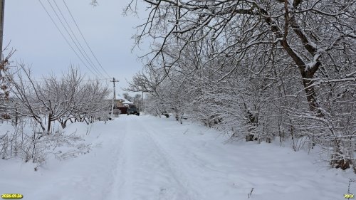 Заезд на территорию перспективной ООПТ Лесопарк в поселке Каменный