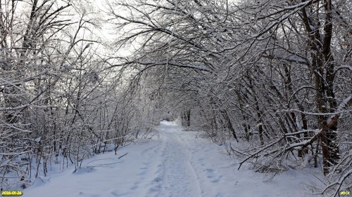 Перспективная ООПТ Узловой лес