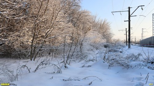 Перспективная ООПТ Узловой лес