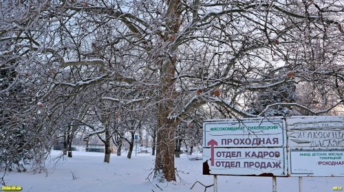 Перспективная ООПТ Роща на улице Ударников