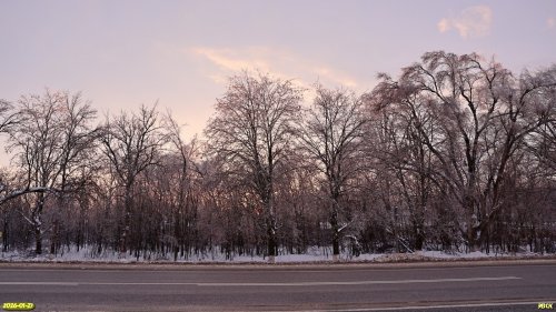 Перспективная ООПТ Роща на улице Гаражной