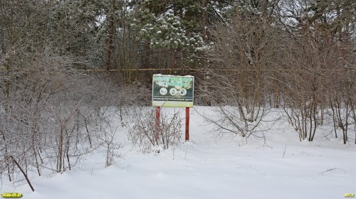 Перспективная ООПТ Козловский лес