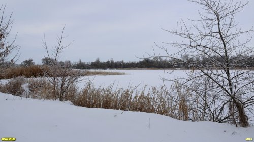 Перспективная ООПТ Козловский лес южнее балки Козлова с прудом