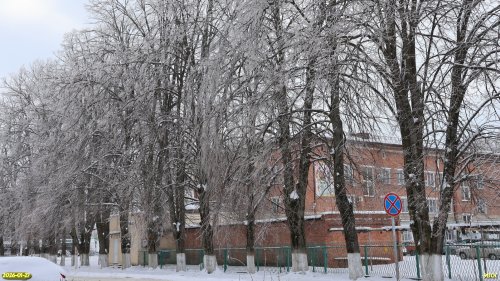 Перспективная ООПТ Аллея на улице Коммунистической