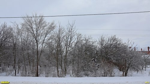 Перспективная ООПТ Роща на улице Алексеевской