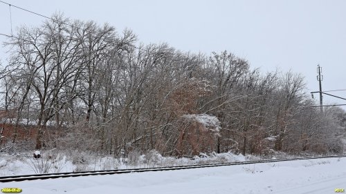 Перспективная ООПТ Роща в переулке Школьный