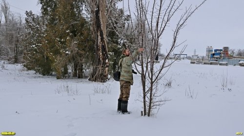 Д.Матвеев на обследовании перспективной ООПТ Роща на улице Промышленной