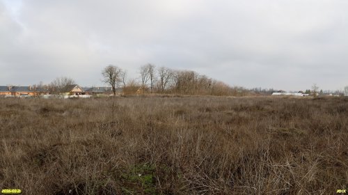 Перспективная ООПТ Южно-Копанская роща 