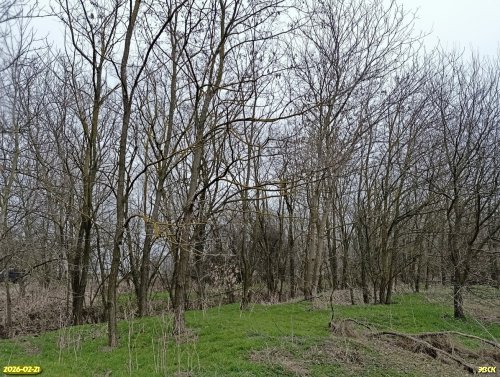 Перспективная ООПТ Копанской парк