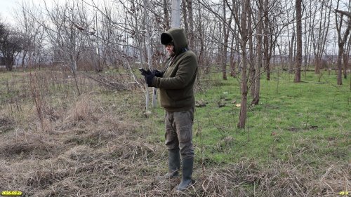 Координатор ЭВСК А.Рудомаха на обследовании перспективной ООПТ Вавиловская роща