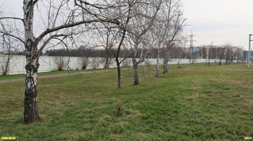 Перспективная ООПТ Березовый сквер