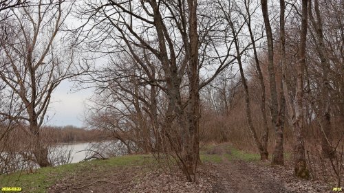 Перспективная ООПТ Яловое Колено