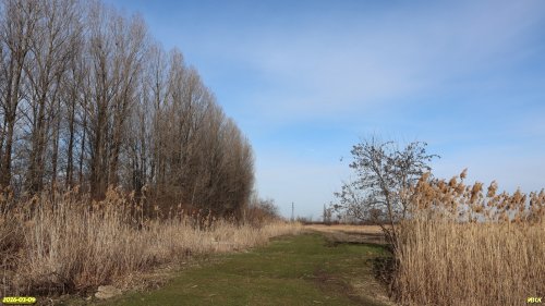 Перспективная ООПТ Второпонурская роща