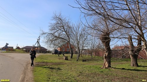 Обследование перспективной ООПТ Центральный сквер хутора Карла Маркса