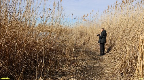 С.Симонов в перспективной ООПТ Белевцев берег Понуры