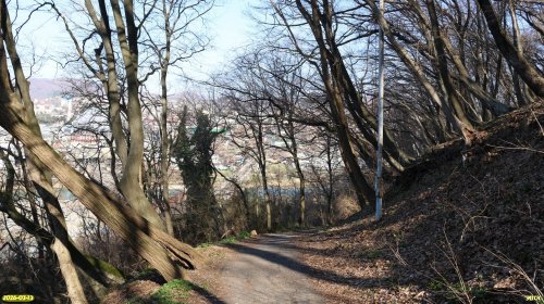 Перспективная территория для включения в программу ФКГС Восьмимартовский спуск