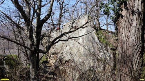 Перспективная ООПТ Скала Тренировочная (расширение)