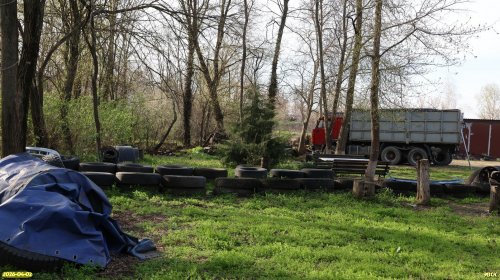 Окраина перспективной ООПТ Центрально-Новогражданская роща